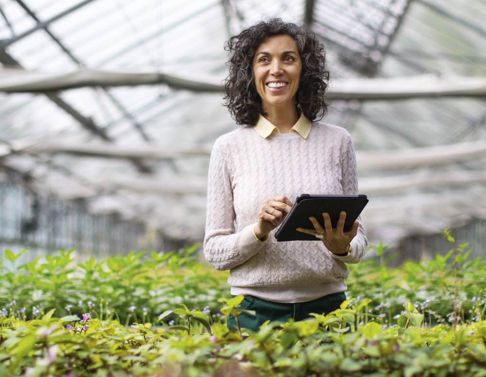 QBE Insurance project link