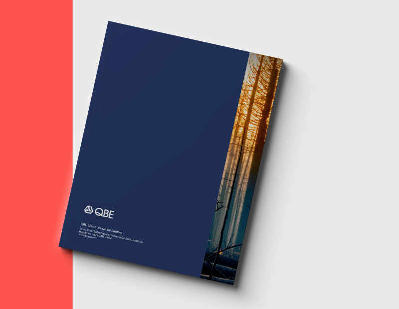 QBE Insurance slide 8